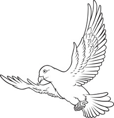 pigeons line vector illustration isolated on white background