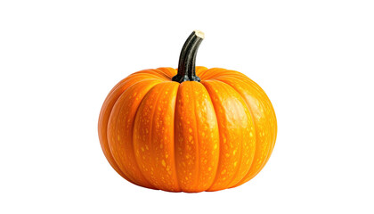 Obraz premium Isolated, vibrant orange pumpkin with a strong contrast against a solid black background