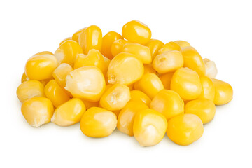 corn seeds isolated on white background with full depth of field