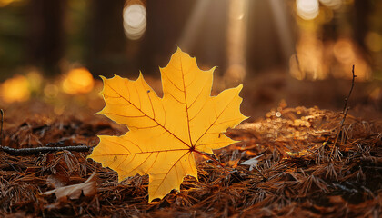 Vibrant Yellow Maple Leaf On Forest Floor Surrounded By Nature Elements