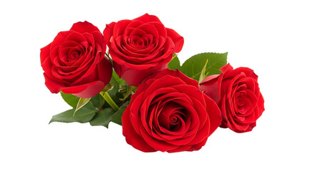 Fototapeta premium Four red roses with green leaves, isolated on white or transparent background, PNG