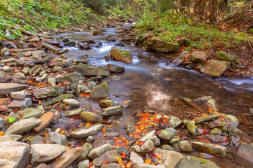 Shallow rocky mountain stream with autumn leaves near Skole town in Lviv region, Ukraine