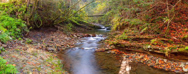 Shallow rocky mountain stream with autumn leaves near Skole town in Lviv region, Ukraine