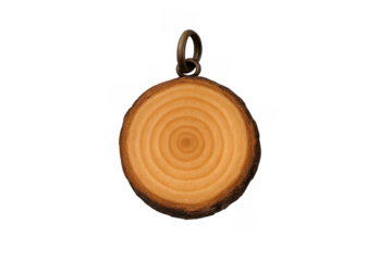 Wood slice keychain decoration with annual rings and transparent background