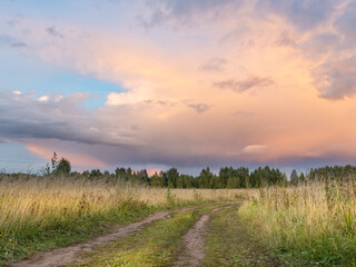 Road runs through a field of tall grass
