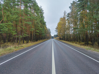 Road with trees on both sides and a white line down the middle