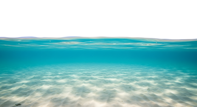 Underwater view of clear turquoise ocean water with sandy seabed and rippling surface, cutout, PNG isolated on white or transparent background