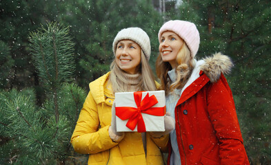 Winter happy women friends holding gift box, celebration, joyful girlfriends together in Christmas