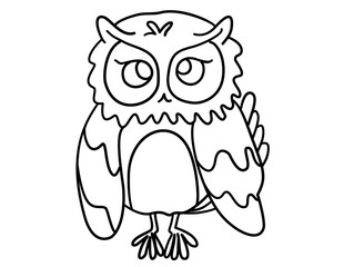 owl on white background
