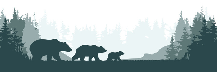 bear family trail among conifer trees forest conservation vector