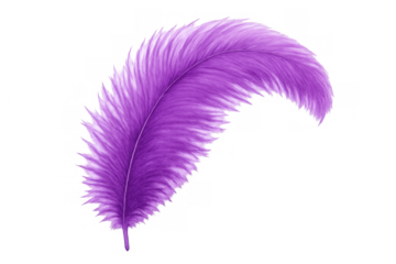 Vibrant purple feather plume creating a soft, delicate, and lightweight texture with fluffy filaments, transparent background