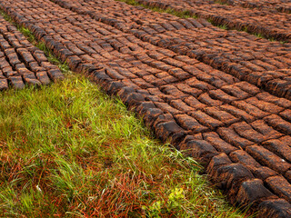 Turf production in Ireland. Green field with layer of the product cut in bricks and left to dry out in the open air. Traditional fossil fuel for home. Seasonal work. Old technology.