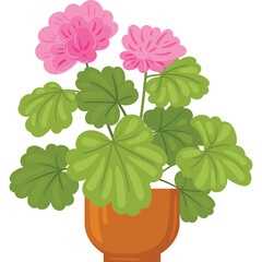 A Pink Geranium Plant with Vibrant Green Leaves in a Terracotta Pot Isolated on a Transparent Background