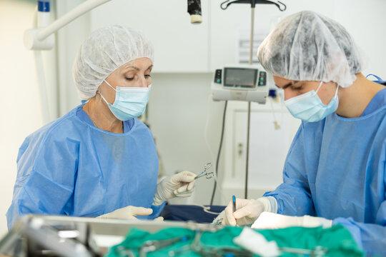 Seasoned female veterinarian with assistant conducting surgical procedure in veterinary operating room, providing medical care to sick pet..