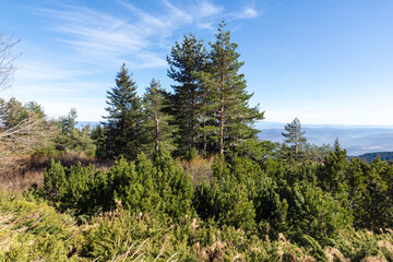 Autumn Landscape of Vitosha Mountain, Bulgaria