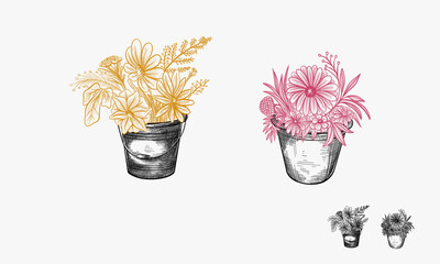 flowers in pot hand drawn vintage logo, Botanical Logo template, Natural and organic logo for branding, corporate identity and business card