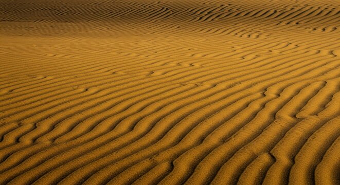 Golden hour light illuminates vast stretches of fine sand, creating intricate patterns and soft shadows across the warm, sun-drenched surface ,beach ,evening ,beautiful