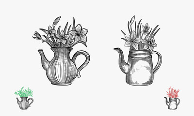 Set of Bouquet of Vintage Botanical Flowers in an old jug. Vector collection of hand drawn flowers. Hydrangea, peony and different leaves and flowers.