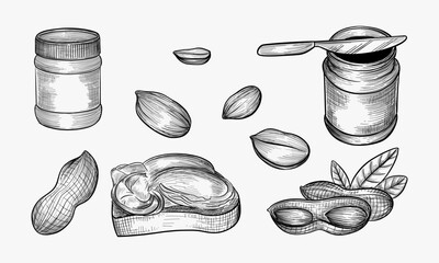 Peanut butter illustration.Hand drawn sketch converted to vector