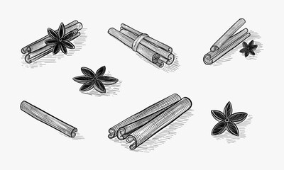 cinnamon, coffee, anise in graphic style