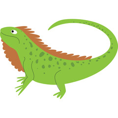 A stylized green iguana with brown markings and a frill around its neck stands on a transparent background showcasing its reptilian features and a curved tail in a simple illustration style