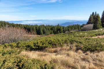 Autumn Landscape of Vitosha Mountain, Bulgaria