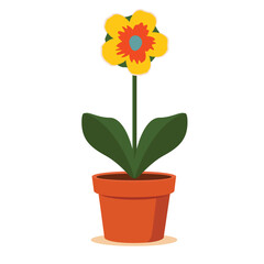 Flower in a pot isolated on white, vector illustration