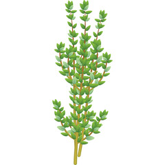 A Tall Stemmed Green Plant with Many Small Leaves and a Transparent Background in a Pixelated Style