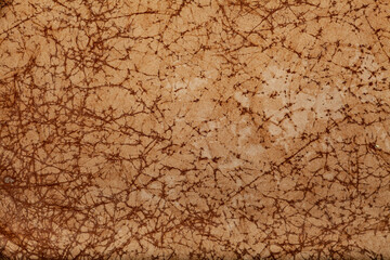 Vintage Aged and Stained Paper Texture Background