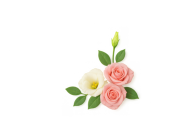 Corner floral arrangement with pink roses, white lisianthus, green leaves, and bud on transparent background