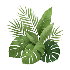Monstera palm tree leaves