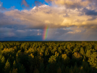Aerial capture of a colourful rainbow and autumn landscape in the forest during sunset