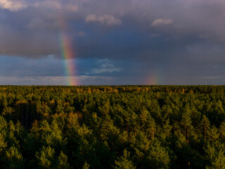 Aerial capture of a colourful rainbow and autumn landscape in the forest during sunset