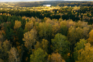 Aerial capture of a colourful autumn landscape in the forest during sunset