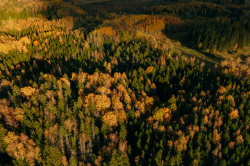 Aerial capture of a colourful autumn landscape in the forest during sunset