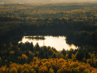 Aerial capture of a colourful autumn landscape in the forest during sunset
