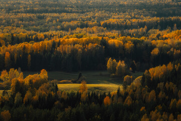 Aerial capture of a colourful autumn landscape in the forest during sunset