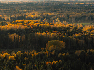 Aerial capture of a colourful autumn landscape in the forest during sunset