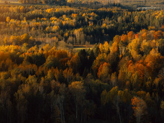 Aerial capture of a colourful autumn landscape in the forest during sunset