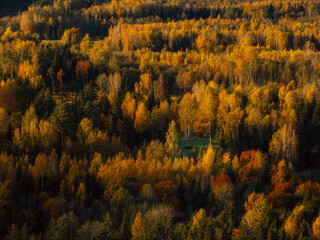 Aerial capture of a colourful autumn landscape in the forest during sunset