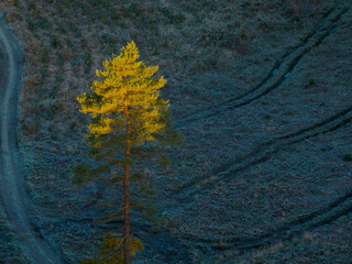 Aerial capture of a colourful autumn landscape in the forest during sunset
