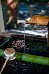 鎌倉251027　鶴岡八幡宮11　手水舎