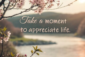 Text on appreciating life near water with blooming cherry blossoms