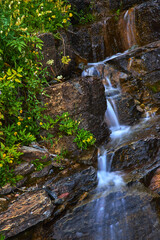 Wildflowers and Lush Greenery Beside Flowing Waterfall Over Rocky Stream