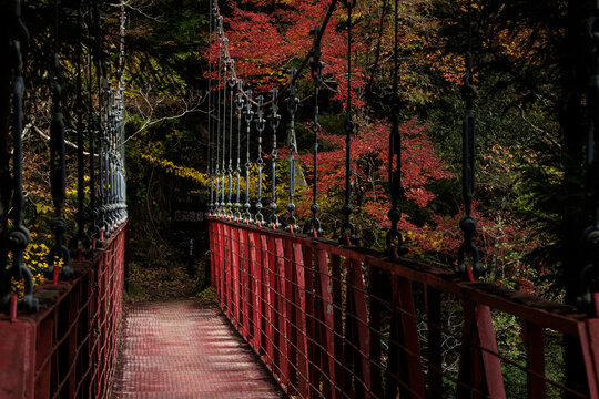 紅葉のべふ峡（別府峡谷の赤い吊橋）