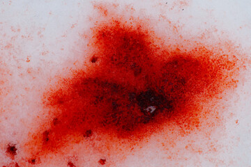 Blood on snow wallpaper.forensic blood patterns.Droplets of blood scattered across an icy surface.Crime Scene.Red blood wallpaper.Red Stain on Snowy Ground.bloody trace on snow texture 