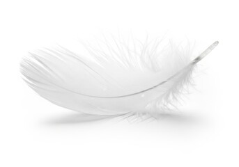 Obraz premium Delicate white down feather rests horizontally on a bright surface