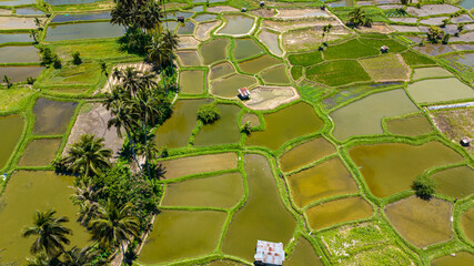 Top view of rice terraces and agricultural land in the tropics. Sumatra. Indonesia.