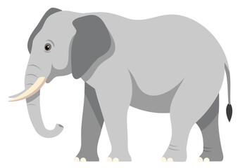Gray Elephant Vector Illustration