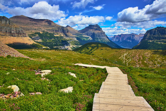 Hidden Lake Trail Boardwalk Leading to Mountain Peaks and Alpine Meadow under Blue Sky
